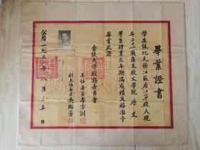 1952年金陵大学毕业证书