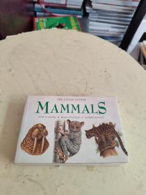 MANMALS （THE LITTLE GUIDES） 書(shū)口有劃線