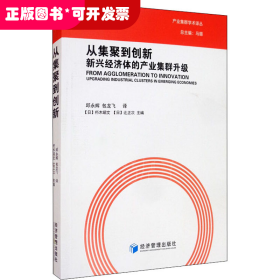 从集聚到创新——新兴经济体的产业集群升级