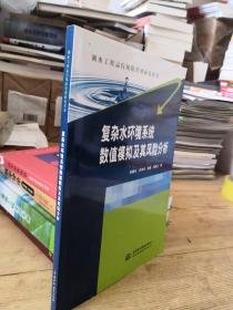 复杂水环境系统数值模拟及其风险分析