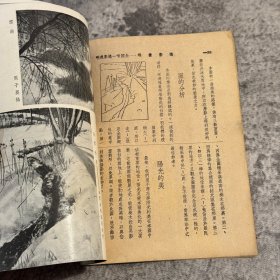 《摄影画报》第十二卷第二期，504 号