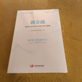 新金融：国有大型银行新金融实践与探索（现代化新征程丛书）