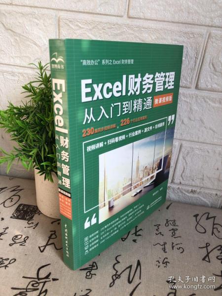 Excel财务管理从入门到精通（微课视频版）