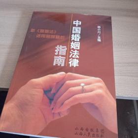 中国婚姻法律指南