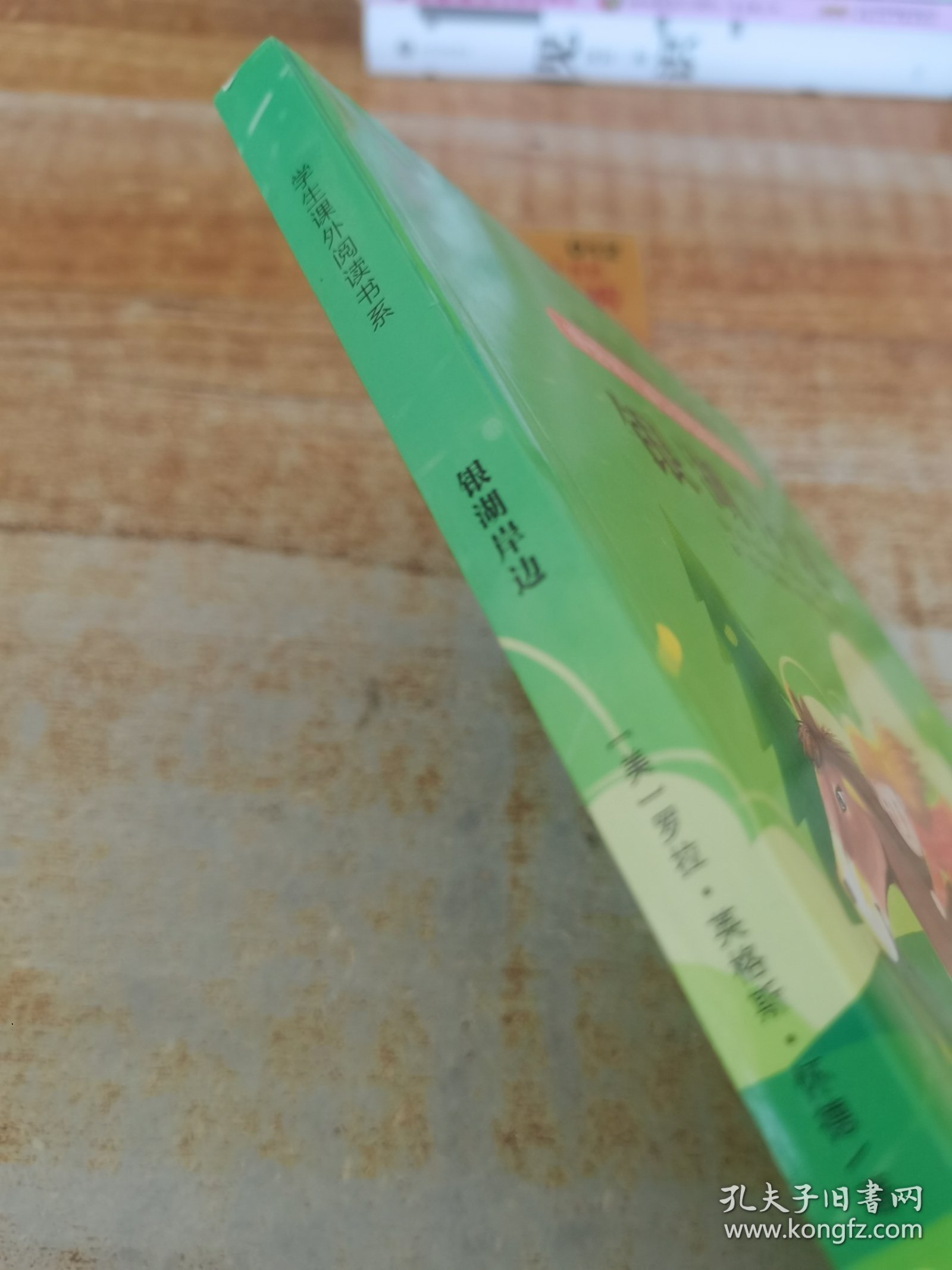 纽伯瑞儿童文学奖作品（国际大奖） 银湖岸边