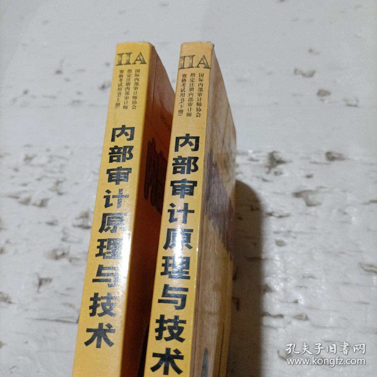 内部审计原理与技术第二版上下册合售