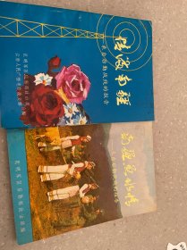 情满南疆（4本合售）