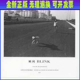 瞬间 BLINK