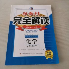 新教材完全解读山东教育版九年级化学（下）