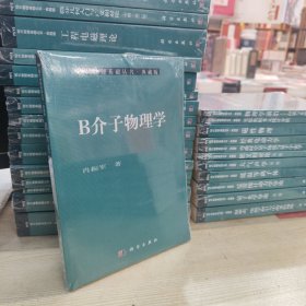 现代物理基础丛书·典藏版：B介子物理学