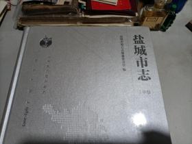 盐城市志 1983～2005  （上中下全三册）（大16开精装！）  全新新版!