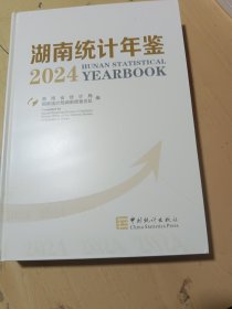 2024湖南统计年鉴