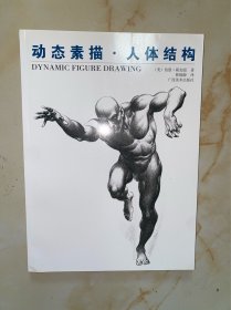 动态素描 人体结构 没有写划