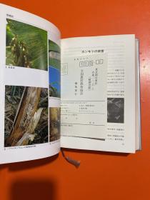 果树の病害虫诊断 防除--精装 日文原版多图