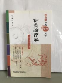 图表解中医备考丛书：针灸治疗学