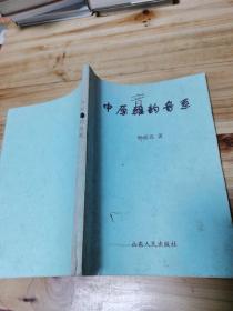 中原音韵音系《影印版》
