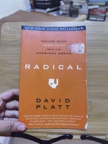 Radical：Taking Back Your Faith from the American Dream