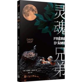 灵魂兄弟 外国现当代文学 (法)达维德·迪奥普(david diop)