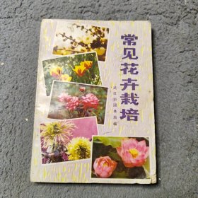 常见花卉栽培