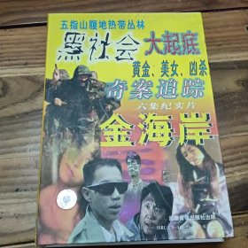 VCD：金海岸（六碟，品相如图，外盒完好）