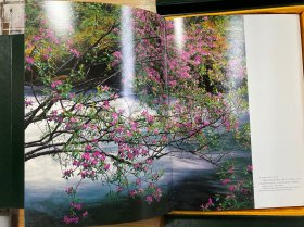 梦幻四季九寨沟（函套精装）