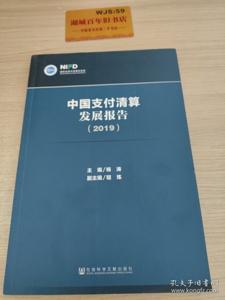 中国支付清算发展报告（2019）