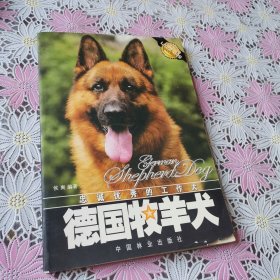 德国牧羊犬