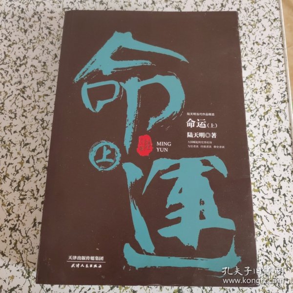 陆天明当代作品精选：命运（套装全2册）