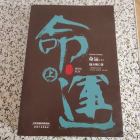 陆天明当代作品精选：命运（套装全2册）