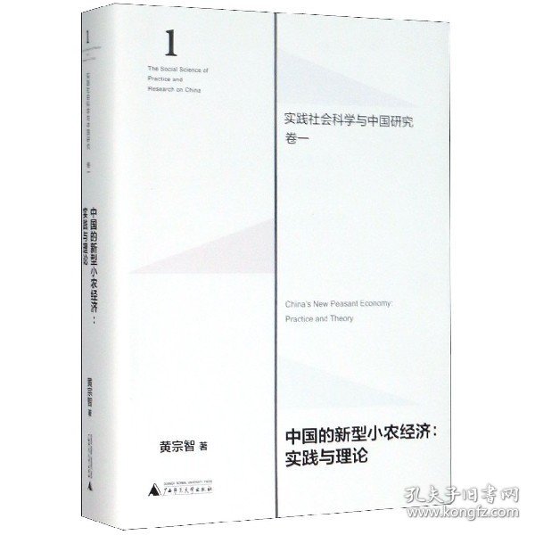 中国的新型小农经济：实践与理论（实践社会科学与中国研究·卷一）