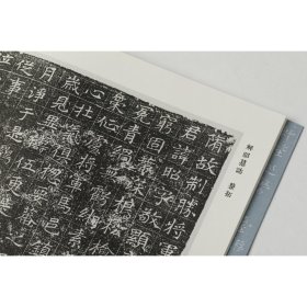 隋代墓志精粹三 解昭墓志 于斌墓志 衙闻墓志 钱大忍墓志 豆卢贤墓志 刘度墓志