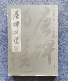 《唐碑百选》 施蛰存编著 上海教育出版社2001年一版一印360页 12开平装 九五品