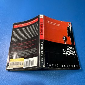 The 25th Hour