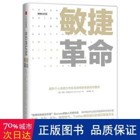 敏捷革命:提升个人创造力与企业效率的全新协作模式