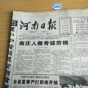 河南日报1995年7月4日
