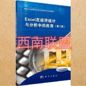 Excel在经济统计与分析中的应用（第二版）