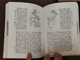 《植物名实图考》