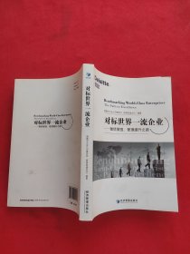 对标世界一流企业：做优做强，管理提升之路