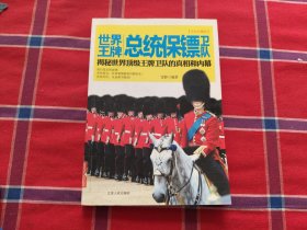 世界王牌总统保镖卫队