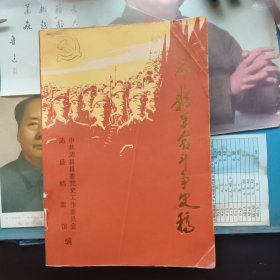 沛县革命斗争史稿