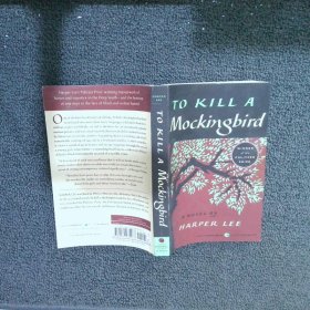 To Kill a Mockingbird  杀死一只知更鸟