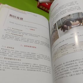 中国畜禽遗传资源志：猪志 如图现货速发