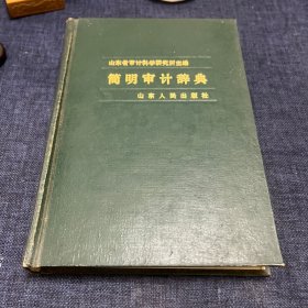 简明审计辞典