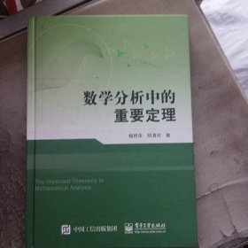 数学分析中的重要定理（精装）