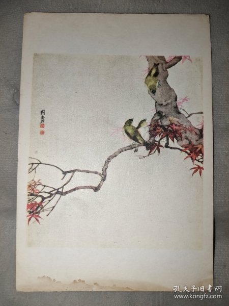 1956年美术画片：黄雀（刘奎龄，天津美术出版社）