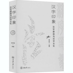汉字印象 汉字源流与汉字文化