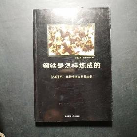 钢铁是怎样炼成的