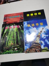 奇幻之旅系列全4册：《夜幕惊奇》《森林探险》《门后的秘密》《街道寻宝》