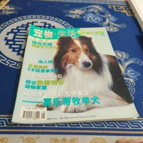 宠物生活流行猫主2003年5月号