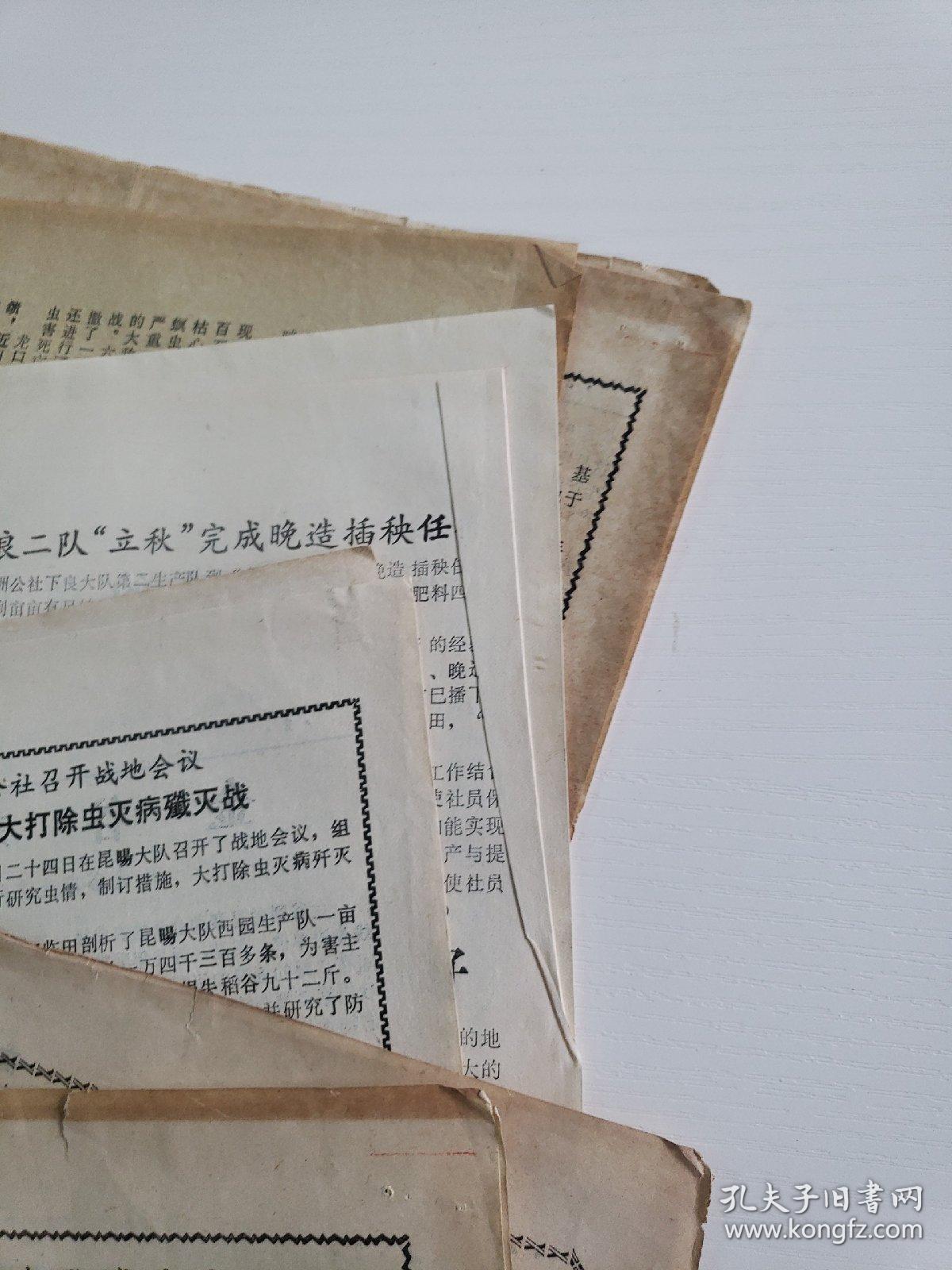 八十年代初高鹤县《高鹤通讯》6份+《高鹤科普》1份
